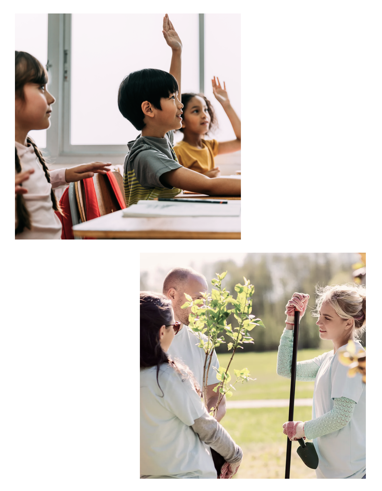 Children in classroom and volunteers planting trees